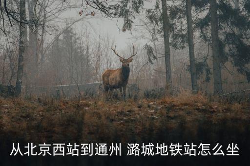 從北京西站到通州 潞城地鐵站怎么坐