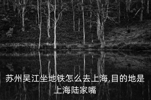 陸家嘴站,從陸家嘴地鐵站出站可以看到東方明珠