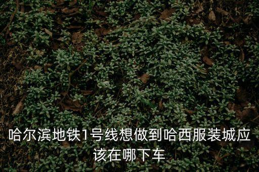 哈爾濱地鐵1號線想做到哈西服裝城應該在哪下車