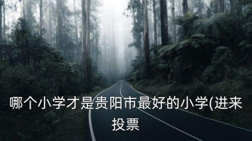 省府路小學,貴陽小學排名前十名小學依次為:貴陽第二實驗小學