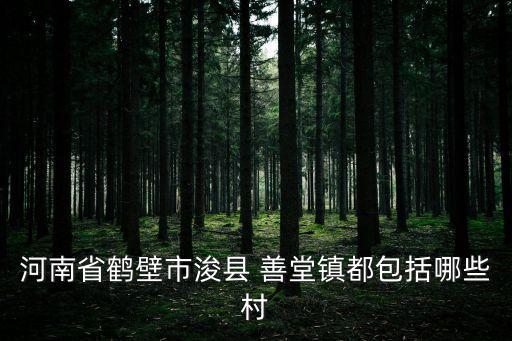 善堂鎮(zhèn),河南省鶴壁市?？h善堂鎮(zhèn)都有哪些村?