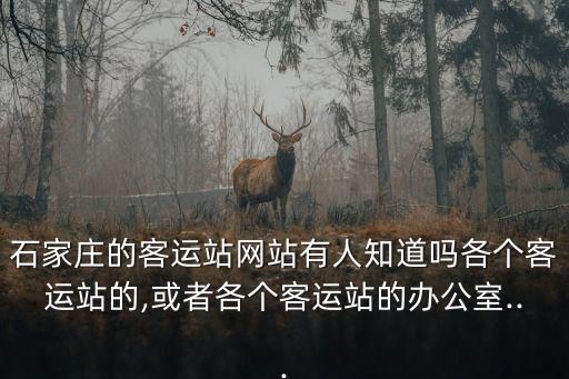 石家莊汽車站電話,乘客打電話到石家莊哪個(gè)汽車站比較靠譜?