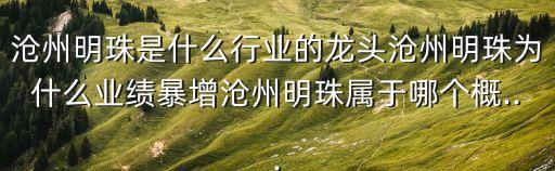 滄州明珠是什么行業的龍頭滄州明珠為什么業績暴增滄州明珠屬于哪個概...