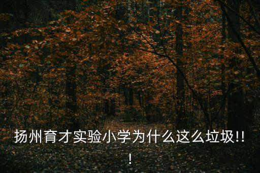 揚州育才實驗學校,揚州育才實驗學校的三風:好學尚美自主體驗
