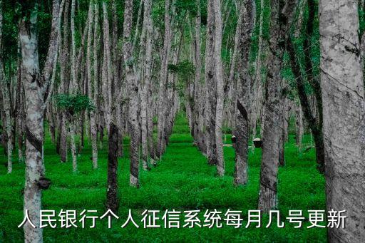 人民銀行個人征信系統(tǒng)每月幾號更新
