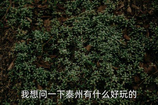 我想問一下泰州有什么好玩的