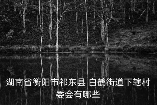 白鶴街道,浙江寧波有新寧街道嗎?