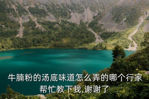  牛腩粉的湯底味道怎么弄的哪個行家幫忙教下我,謝謝了