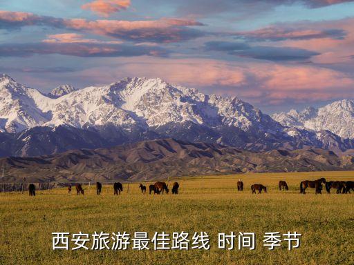 西安旅游路線,西安安旅游推薦線路西安游玩攻略