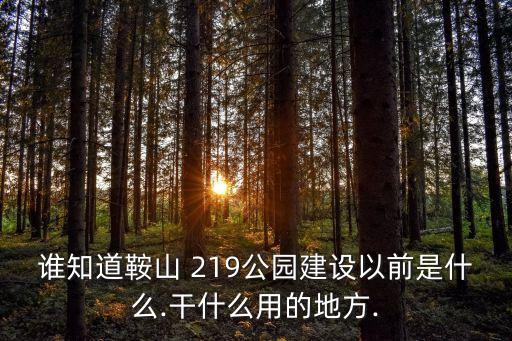 誰知道鞍山 219公園建設以前是什么.干什么用的地方.