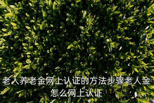 老人社保網(wǎng)上認(rèn)證,老人社保認(rèn)證在哪里認(rèn)證?一文看懂