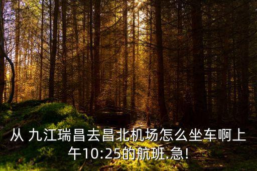 九江瑞昌,九江至瑞昌高架橋2023年5月開工建設