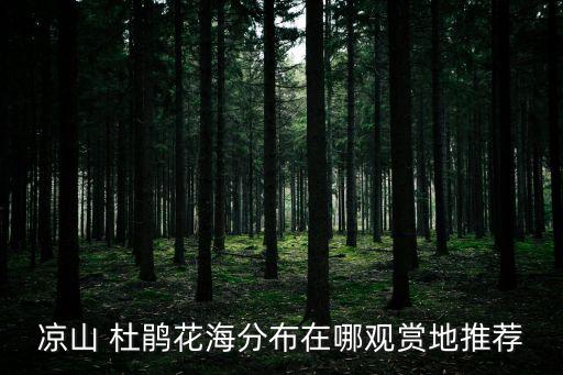 涼山 杜鵑花海分布在哪觀賞地推薦