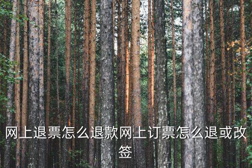 退票改簽,火車票退改簽注意事項:網上訂票怎么退?