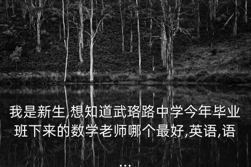 我是新生,想知道武珞路中學(xué)今年畢業(yè)班下來的數(shù)學(xué)老師哪個(gè)最好,英語,語...