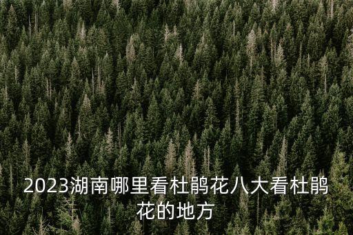 杜鵑花海,最佳觀賞期!大理杜鵑花海在哪里?