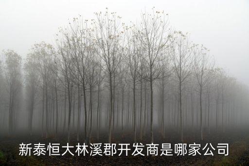 濱湖新城,泰國恒大濱湖新城打造大型摩爾式購物中心