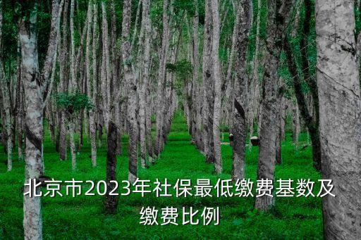 北京社保計(jì)算,北京社保繳費(fèi)基數(shù)5869年限為三年