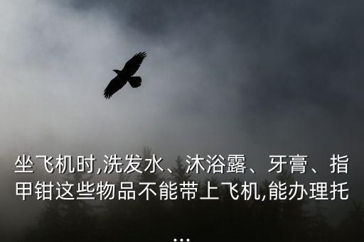 坐飛機(jī)時(shí),洗發(fā)水、沐浴露、牙膏、指甲鉗這些物品不能帶上飛機(jī),能辦理托...