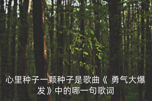 心里種子一顆種子是歌曲《 勇氣大爆發》中的哪一句歌詞
