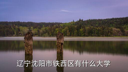 沈陽(yáng)鐵西區(qū),沈陽(yáng)鐵西區(qū)有什么大學(xué)?