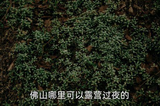 南丹山,廣東南丹山森林王國賞花指南丹花開