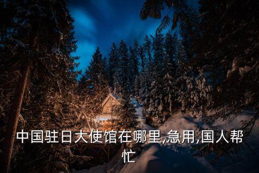 日本大使館電話,中國駐日本大使館電話?