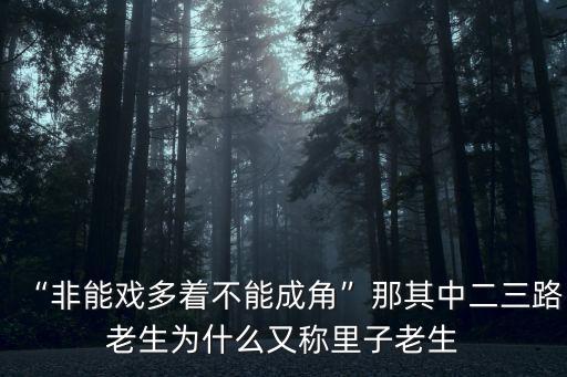 “非能戲多著不能成角”那其中二三路老生為什么又稱里子老生