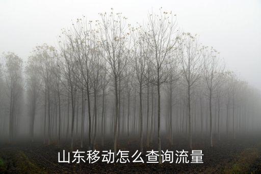 青島移動(dòng),移動(dòng)寬帶怎么辦?
