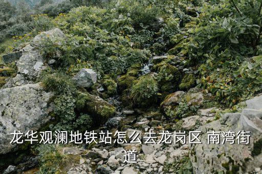 南灣街道,南灣街道行政服務大廳媽嬰室在哪里?