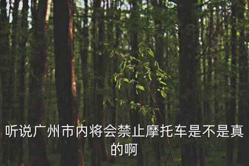 聽說廣州市內將會禁止摩托車是不是真的啊