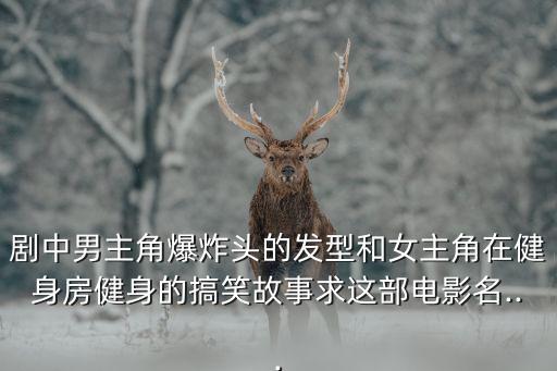 劇中男主角爆炸頭的發(fā)型和女主角在健身房健身的搞笑故事求這部電影名...