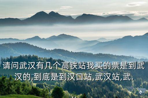 請問武漢有幾個高鐵站我買的票是到武漢的,到底是到漢口站,武漢站,武...