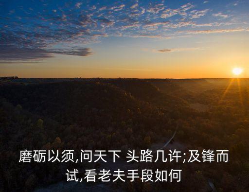 磨礪以須,問天下 頭路幾許;及鋒而試,看老夫手段如何