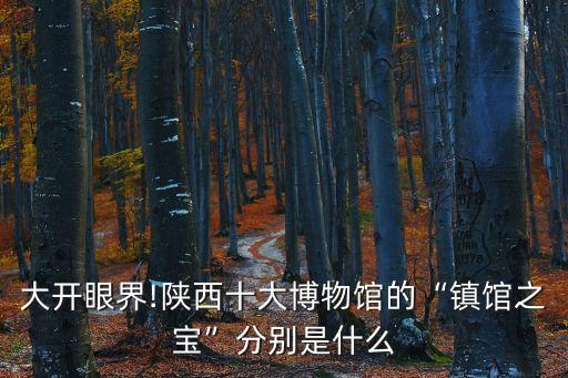 大開眼界!陜西十大博物館的“鎮(zhèn)館之寶”分別是什么