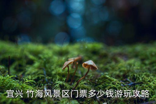 宜興 竹海風景區門票多少錢游玩攻略