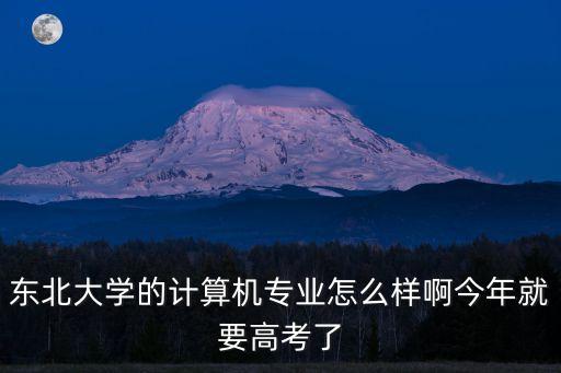 東北大學的計算機專業怎么樣啊今年就要高考了