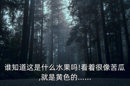 誰知道這是什么水果嗎!看著很像苦瓜,就是黃色的……