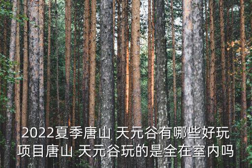 2022夏季唐山 天元谷有哪些好玩項目唐山 天元谷玩的是全在室內嗎