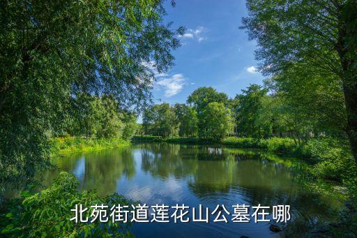 北苑街道,北苑街道蓮花山公墓位于山東濰坊市西北部