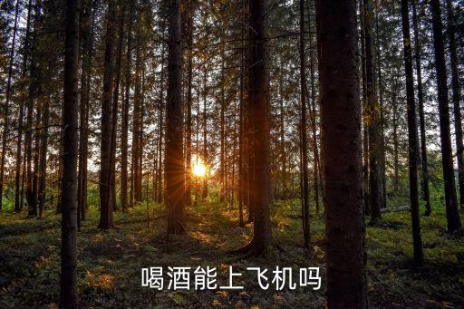 酒可以上飛機嗎,飛機上可以帶酒嗎?喝酒后可以上飛機