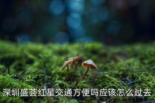 深圳盛薈紅星交通方便嗎應該怎么過去