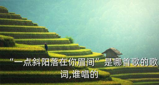 愛的生存之道,《一公升眼淚》系列日本電視劇集