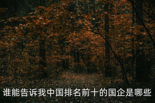 誰能告訴我中國排名前十的國企是哪些