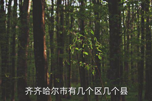  齊齊哈爾市有幾個區幾個縣