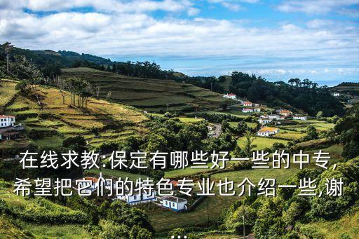 在線求教:保定有哪些好一些的中專,希望把它們的特色專業也介紹一些,謝...