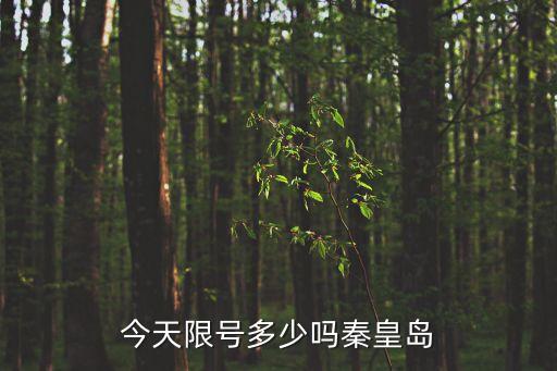 南戴河限號嗎,北戴河今天限單號還是雙號
