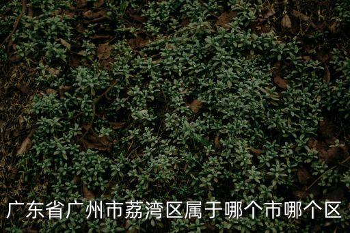 廣東省廣州市荔灣區屬于哪個市哪個區