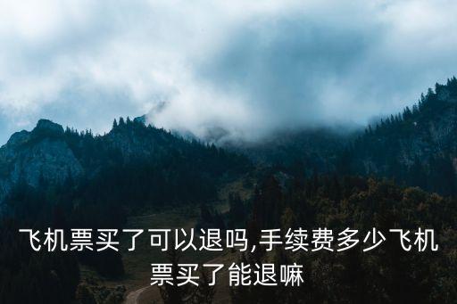 飛機(jī)票買了可以退嗎,手續(xù)費(fèi)多少飛機(jī)票買了能退嘛