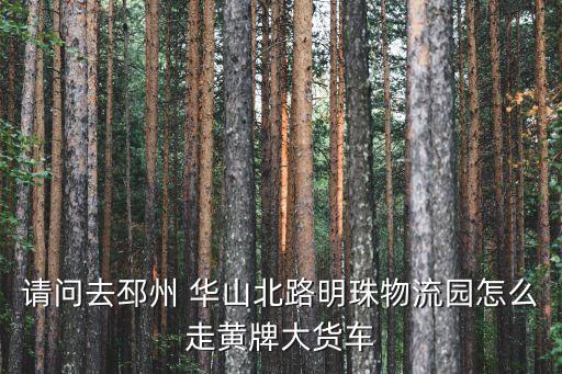 請問去邳州 華山北路明珠物流園怎么走黃牌大貨車